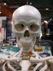 skeleton skull head bones reaper