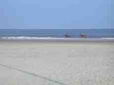 nature characters humanoids animals land gallopping horseriding horse horses beach beachscape