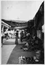 nature characters humanoids iuliana market india food street cityscape