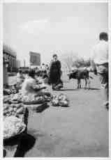 iuliana characters humanoids india b&w holy cow people women calf market