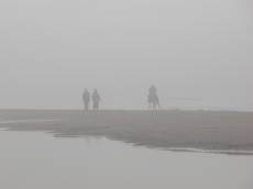 nature humanoids fog foggy beachscape horse galop galopping beach