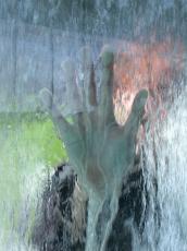 humanparts hand water waterfall fingers glasswall glass