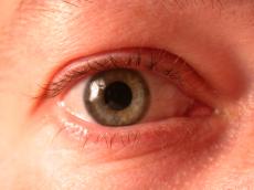 nature characters humanparts eye pupil iris hair eyelash lash