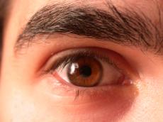 nature characters humanparts eye pupil iris hair eyelash lash brow eyebrow dario