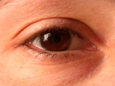 nature characters humanparts eye pupil iris hair eyelash lash