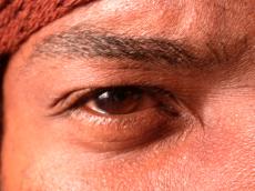 nature characters humanparts eye pupil iris hair eyelash lash eyebrow brown negro brow angry