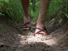feet legs path forest walking walk steps sand grass