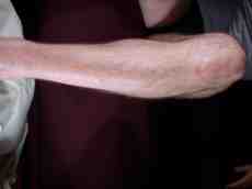 nature characters humanparts bodykit1 bk1 leg leftleg shin