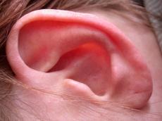 ear humanpart pink red texture hair side
