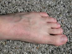 foot skin texture hair top flesh vein toe toes nail nails toenail toenails nature characters humanparts male