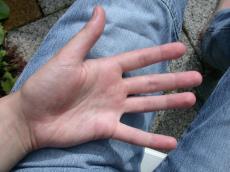 hand  handpalm  palm  skin  texture  nature  characters  humanparts  fingers  finger  inside