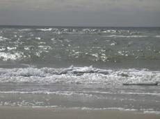 nature elements waves water sea wave