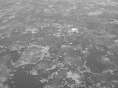 nature elements frozen water texture lake