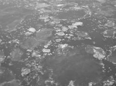 nature elements texture ice winter frozen water gray