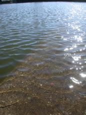 nature elements water waves texture