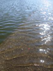 sea water lapping coast warm brown waves summer