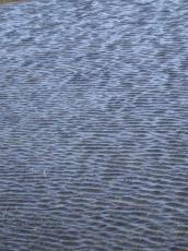 nature elements water waves wave texture ripple rippled ripples