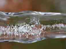 paul ice icicle frost cold frozen 