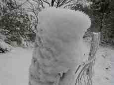 nature elements snow icecrystal icecrystals crystals paul winter frozen