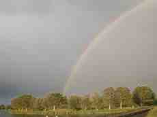 view rainbow sky curved nature treetops