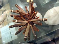 mineral spike spikes spiked spiky brown hedgehog