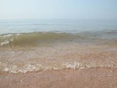 beach water sea ocean brown waves braking
