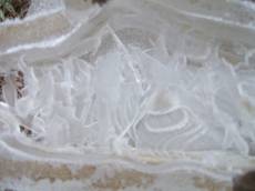 tabus ice cold water frozen