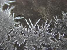 macro nature elements snow crystal micro iceflower iceflowers flower flowers snowflake ice frozen