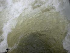 nature elements water moving waves