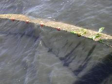 nature elements water sea fishing net fishnet trawler ocean
