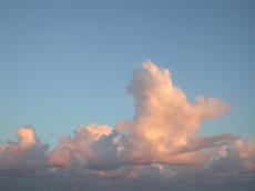 clouds fluffy evening sky skyline pink
