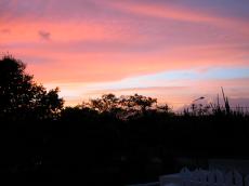 jacco curacao sky sunset dusk silhouette purple pink trees clouds