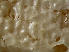 honey comb wax empty honey comb wax empty