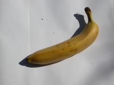 nature food fruit banana texture yellow