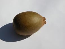 nature food fruit avocado kiwi oval texture macro