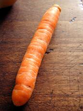 carrot vegetable orange