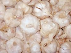 garlic clove vegetable layers