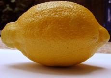 lemon food fruit yellow skin texture side