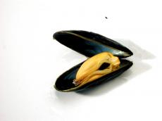 mussles shell sea food fish fishy 