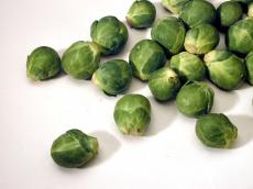 sprout food moist moisturized moisturised round