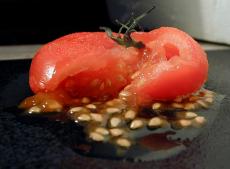 smashed tomato red food fruit smash guts seed