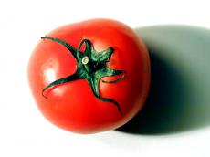 tomato red fruit vegetable round food green ripe