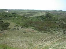 nature landscapes dunescapes dune dunes green