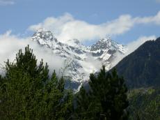 paul horstman nature landscapes mountain mountainscape mountains snow eternalsnow alps ferntrees pine