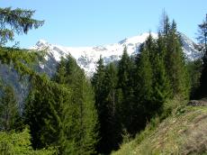 paul austria mountains trees alpine snow