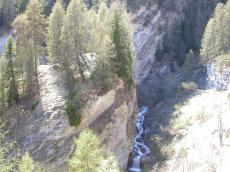 paul nature landscapes mountainscapes tree trees river alps waterfall ferntrees ferns