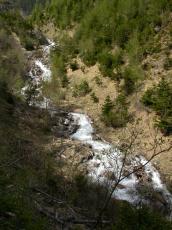 paul horstman mountain stream mountainstream brook river rivulet flowing streaming path pinetrees green
