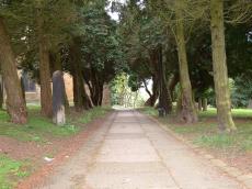 vicky sheperd road trees tombstone gravestone church