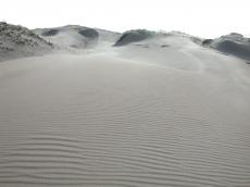 dune dunes beach desert deserted plumes tops ripples sand