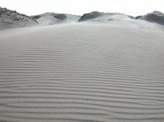 beach desert dune dunes sand hill sands sandstorm grey